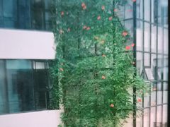 -雅戈尔富宫大酒店(观前街店)