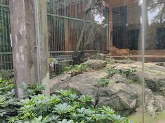 -柳州市动物园