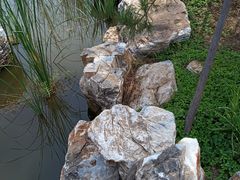 -张家湾公园