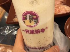 -一只酸奶牛(八一路店)
