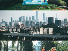 -广州市白云山风景名胜区