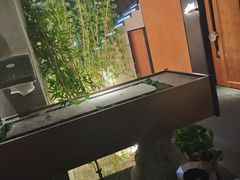 -新紫霞养生·影院足道·SPA(金山区店)