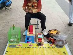 -兴城海滨风景区