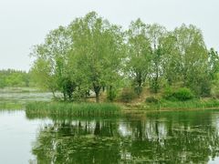 -马家湾湿地公园
