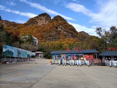 -庆岭迎宾园正宗活鱼馆