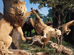 -国家自然博物馆