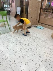 -Moni星球萌宠·小马宝莉·灵蛇·高端高阶全萌宠互动体验俱乐部(红豆国际广场店)