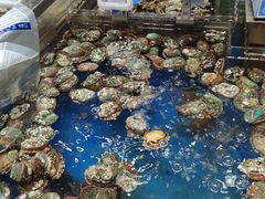 -盒马X会员店(王府井奥莱UP TOWN店)