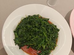 -圆苑(静安寺店)