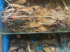 -北戴河庆山饭店·海鲜砂锅粥(北戴河黑石路店)