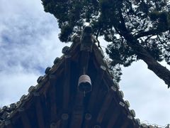 -报恩寺(平武县)