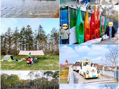 -上海海湾国家森林公园