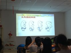 -福建省妇幼保健院(道山路院区)