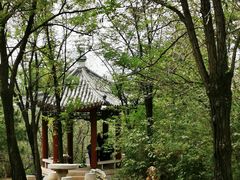 -云岗森林公园
