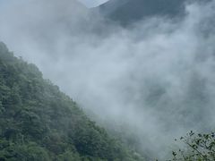 -遂昌金矿国家矿山公园