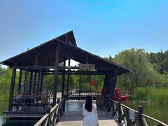 -溱湖国家湿地公园