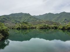 -龙坞茶村