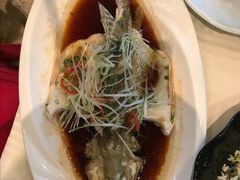 清蒸江桂鱼-扬州狮子楼·非遗淮扬菜(总店)