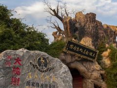 -大槐树寻根祭祖园