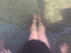 -苏州湾王焰温泉度假酒店