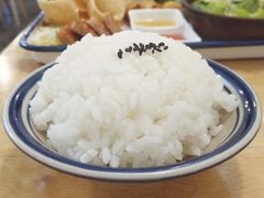 -yes or no(南部商务区店)