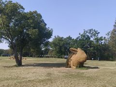 -嘉北郊野公园