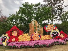 -天适樱花悠乐园