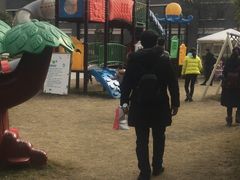 -成都安仁福朋喜来登酒店