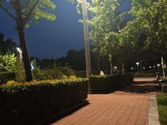 -郑州植物园