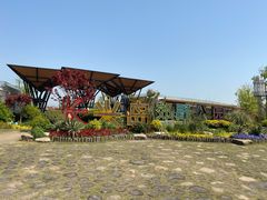 -上海长兴岛郊野公园