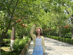 -大槐树寻根祭祖园
