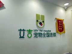-艾吉宠物医院·疑难杂症转诊中心·猫友好(碧江路院)