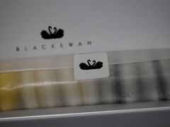 -BLACKSWAN黑天鹅(环球店)
