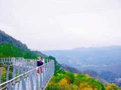 -大余丫山旅游度假区