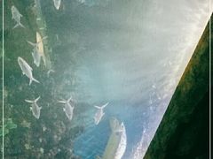 -嘉兴海底世界