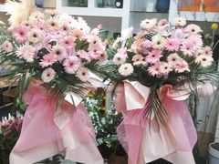 -淘花源花艺鲜花店 开业花篮 绿植(南部商务区店)