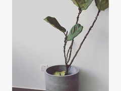 -UNI UNI(环亚凯瑟琳店)