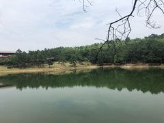 -南京市无想山景区