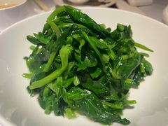 五粮液嫩豆苗-玫瑰厅上海菜(兴国路店)