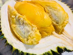 榴莲-都念榴莲·城市榴莲