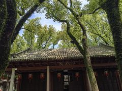 -天一阁博物院