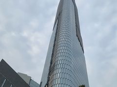 -紫峰大厦