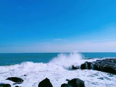 -漳州滨海火山岛自然生态风景区