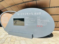 -鄂尔多斯博物馆