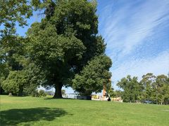 -墨尔本皇家植物园