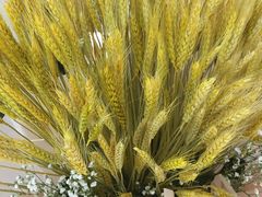 -万达广场(东莞厚街店)