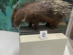 -国家自然博物馆