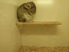 -龙猫仔乐园(惠福东路店)