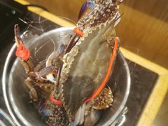 -川骄海鲜自助(河东店)