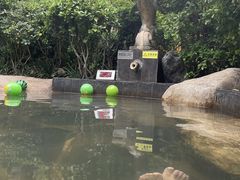 -西安国际创新人才交流中心•药浴温泉